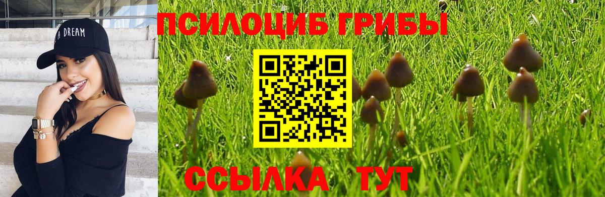 Дзержинский  Альфа ПВП СК   Меф МЯУ МЯУ   Бошки Шишки  Кокаин  ГАШИШ  Вход с VPN  Гашиш 