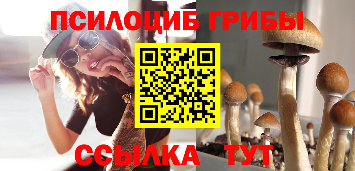 Псилоцибиновые грибы GOLDEN TEACHER Дзержинский